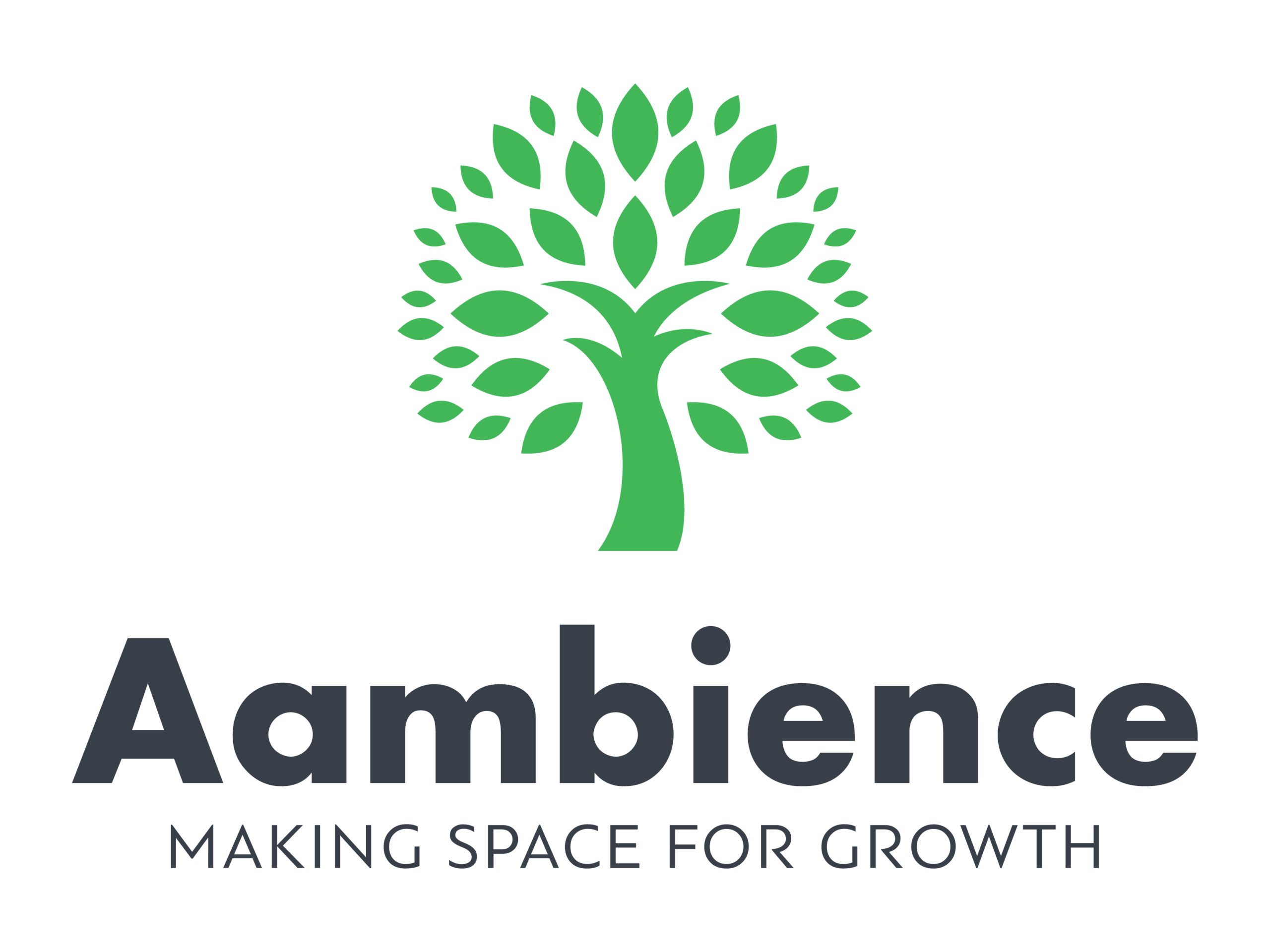aambience logo